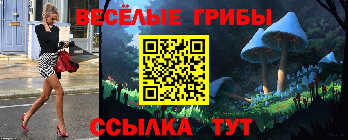 Псилоцибиновые грибы ЛСД  Вход с VPN  Псилоцибиновые грибы Magic Shrooms  Каменск-Шахтинский 
