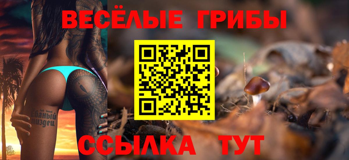 Галлюциногенные грибы мицелий Каменск-Шахтинский